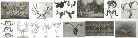 The Hunters Hunting Ebook Library pics 6